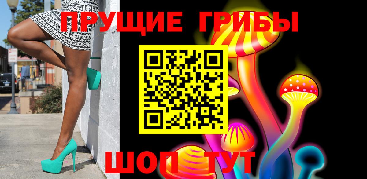 Псилоцибиновые грибы Cubensis Качканар