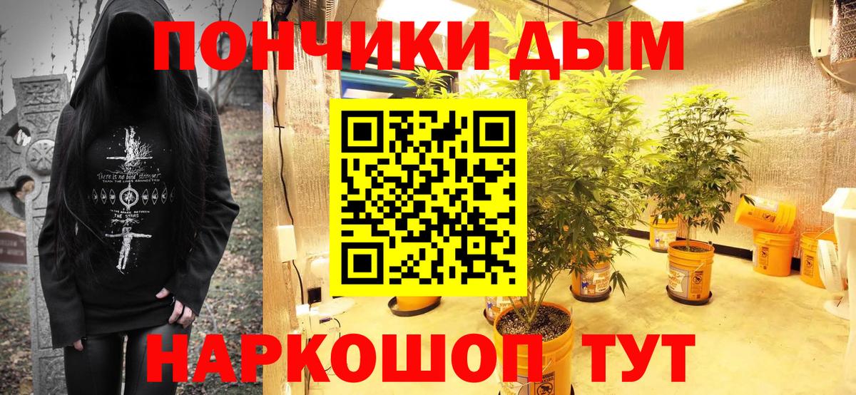 Бошки Шишки индика Качканар